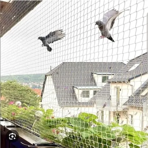 Bird Netting Services Pune